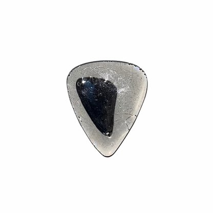 Butterfly Wing Encased Guitar Pick