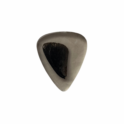 Butterfly Wing Encased Guitar Pick